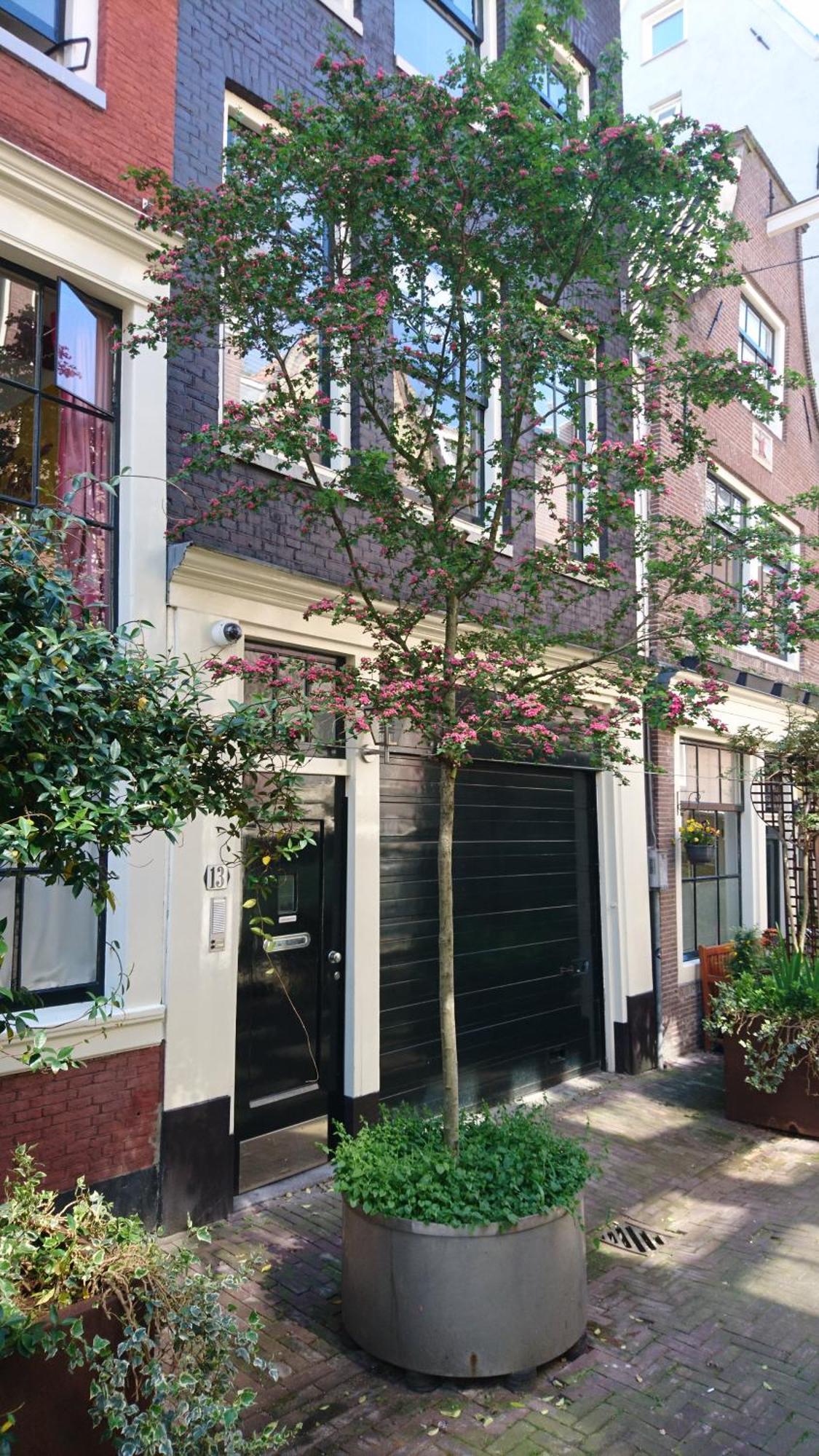 Huis Roomolen Amsterdam Eksteriør bilde